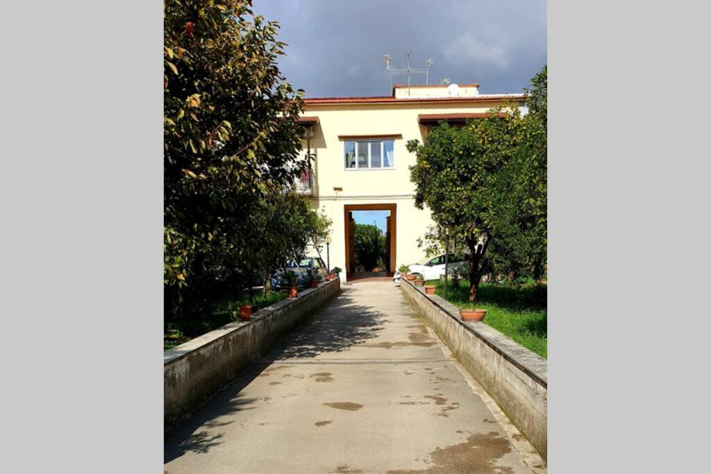 Appartamento in Villa alle falde del Vesuvio Napoli Esterno foto